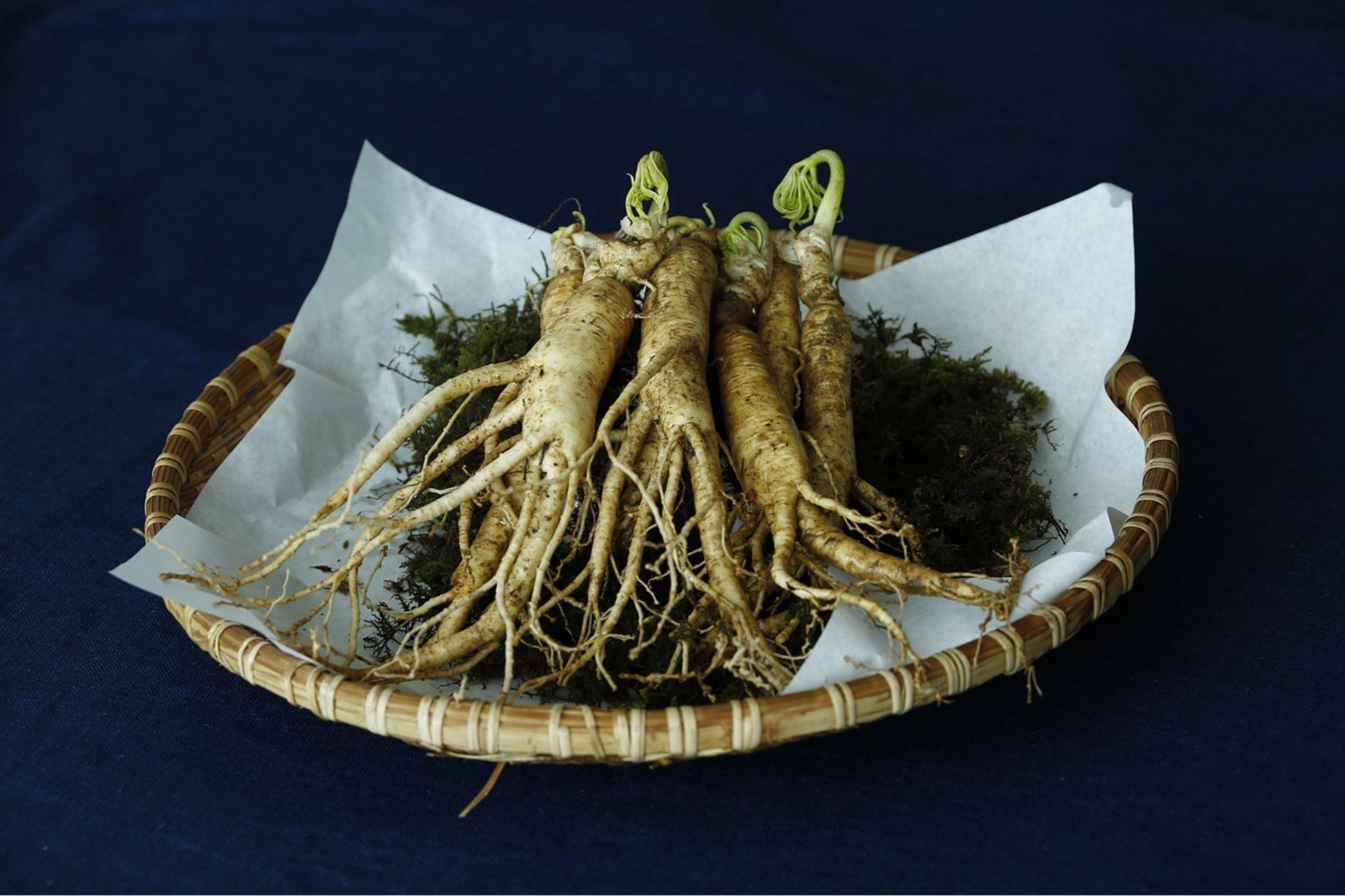 Can You Take Shilajit with Ginseng?