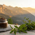 5 Science-Backed Pure Himalayan Shilajit Benefits