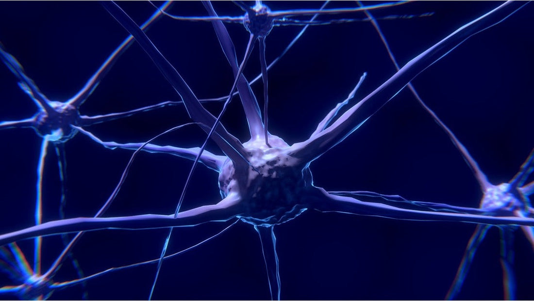 Does Shilajit Increase Dopamine? Effects on Mental Health