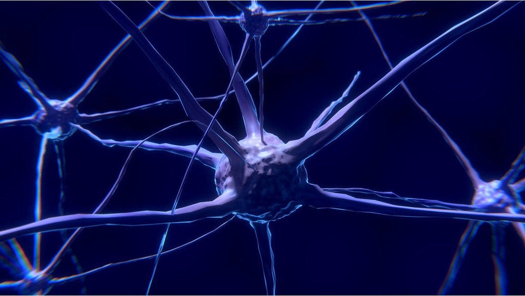 Does Shilajit Increase Dopamine? Effects on Mental Health