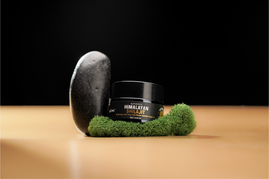 Can You Take Shilajit with Chyawanprash?