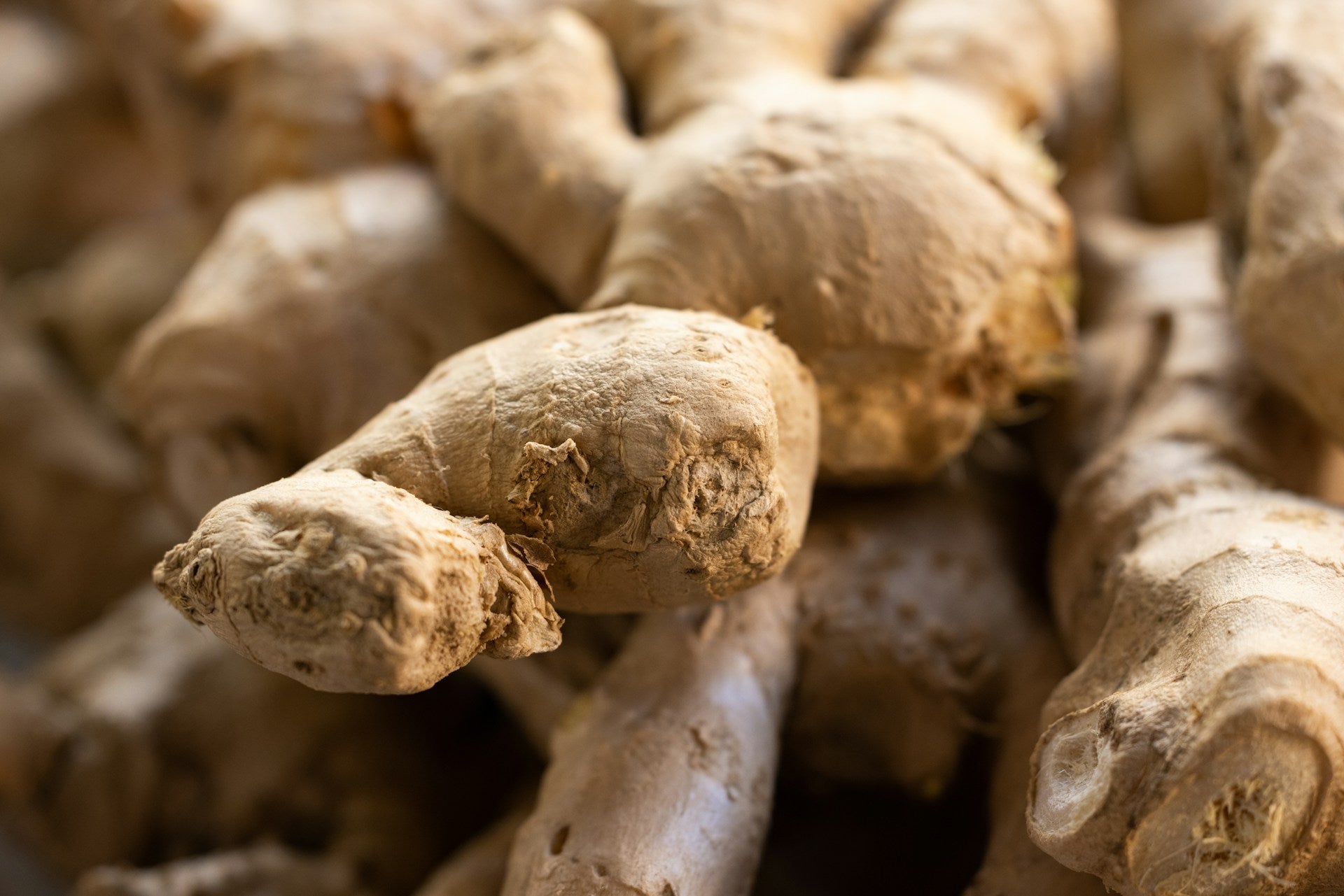 Can You Take Shilajit with Ginger?