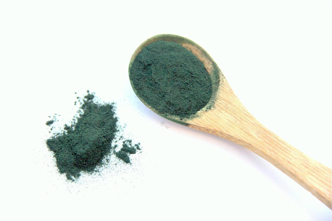 Shilajit vs Spirulina: Which is Better for Detox & Vitality?