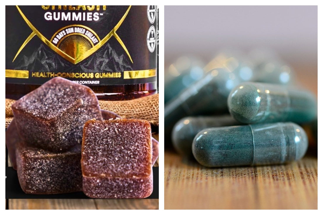 Shilajit Gummies vs Capsule.