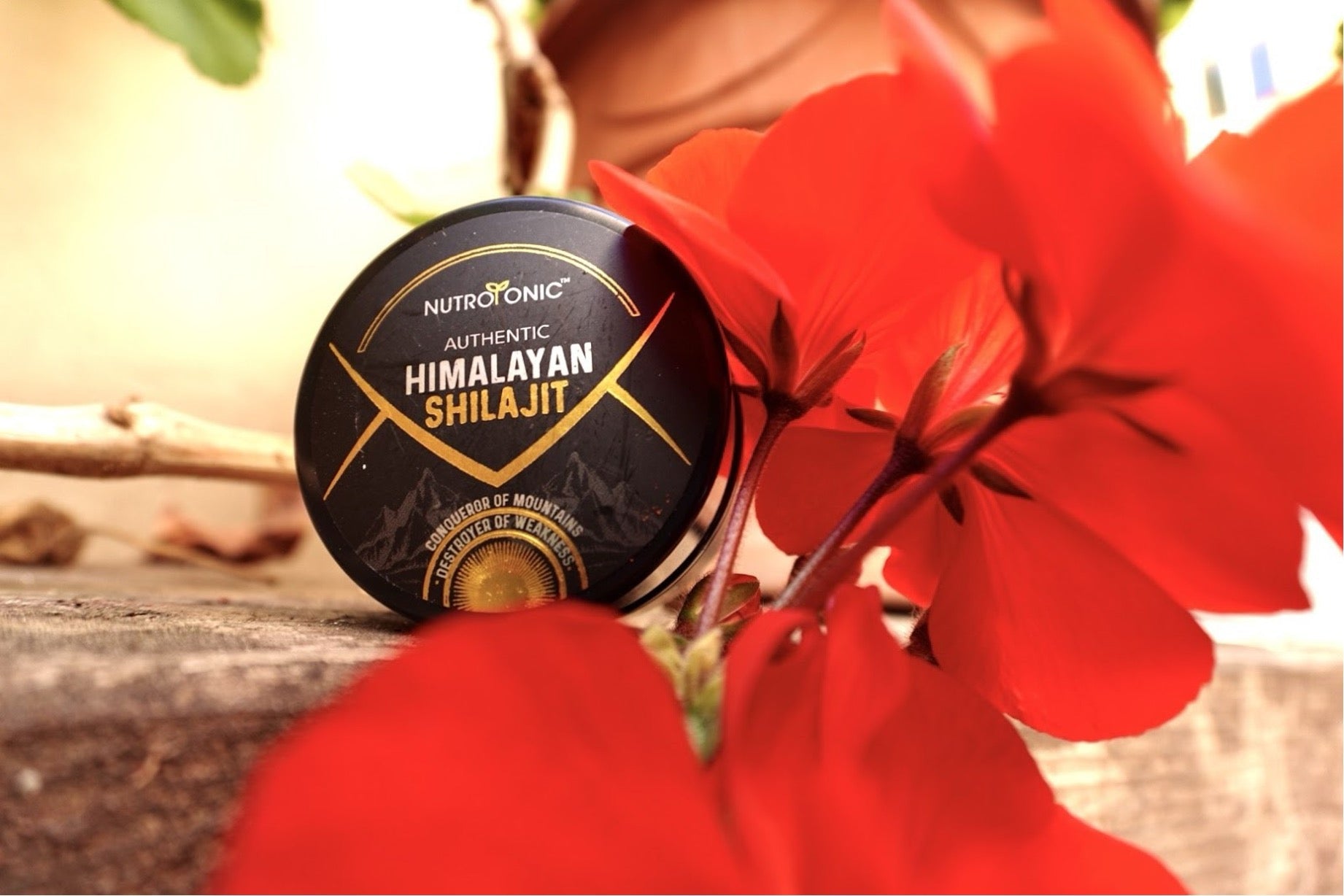 Is Shilajit Vegan Friendly?