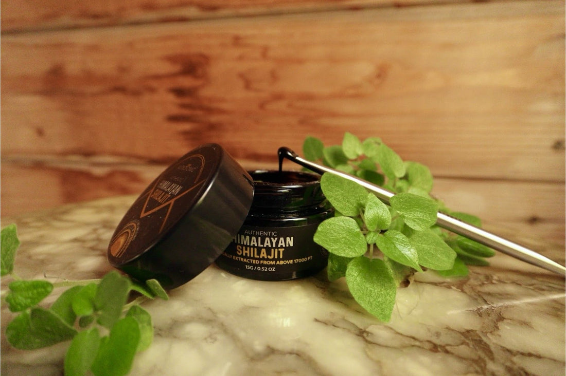 Can You Take Shilajit with NAC?