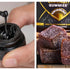 Shilajit Resin vs. Gummies: Which Has More Benefits?