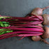 Shilajit vs. Beetroot: Uses, Benefits & Side Effects