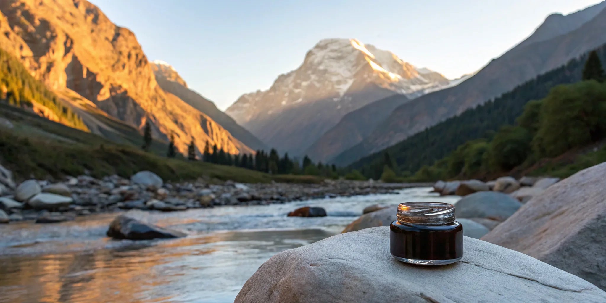 Himalayan Shilajit Resin Benefits: What Science Says