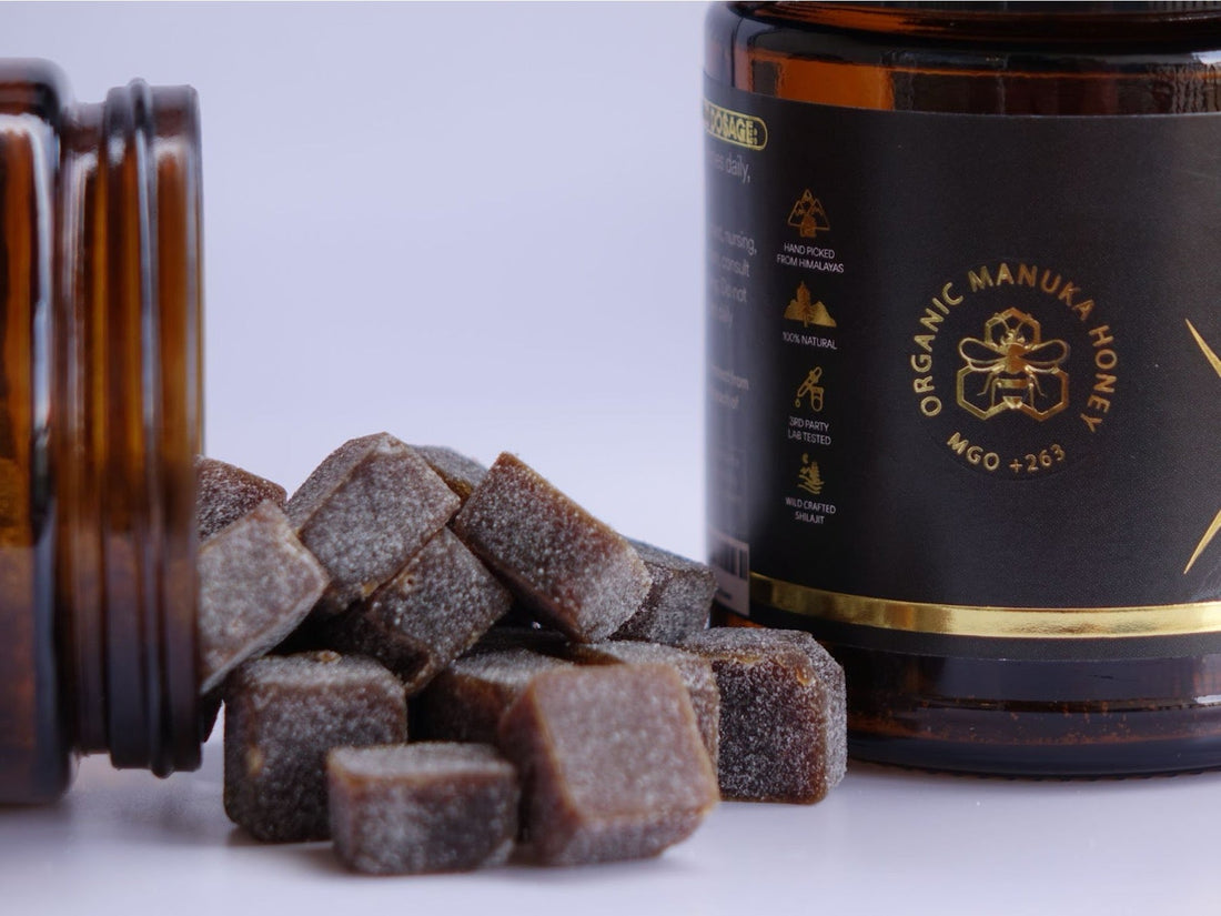 Shilajit vs Safed Musli: Which is Better?