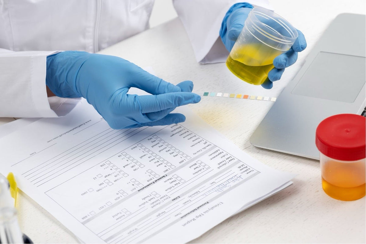 Does Shilajit Show Up on Drug Tests? | NutroTonic®