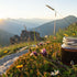 Shilajit: Unlocking the Power of Fulvic & Humic Acid