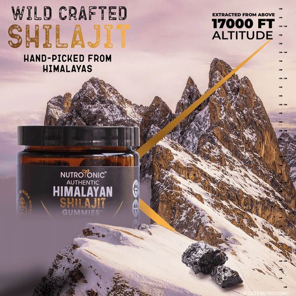 Authentic Himalayan Shilajit® Gummies Manuka Infused