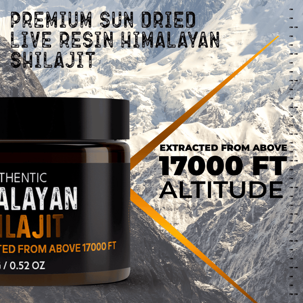 Authentic Himalayan Shilajit® Resin 5 Grams