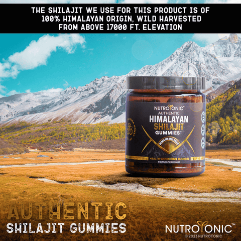 NutroTonic Himalayan Shilajit Gummies jar with mountainous power strictly from above 17000 ft elevation
