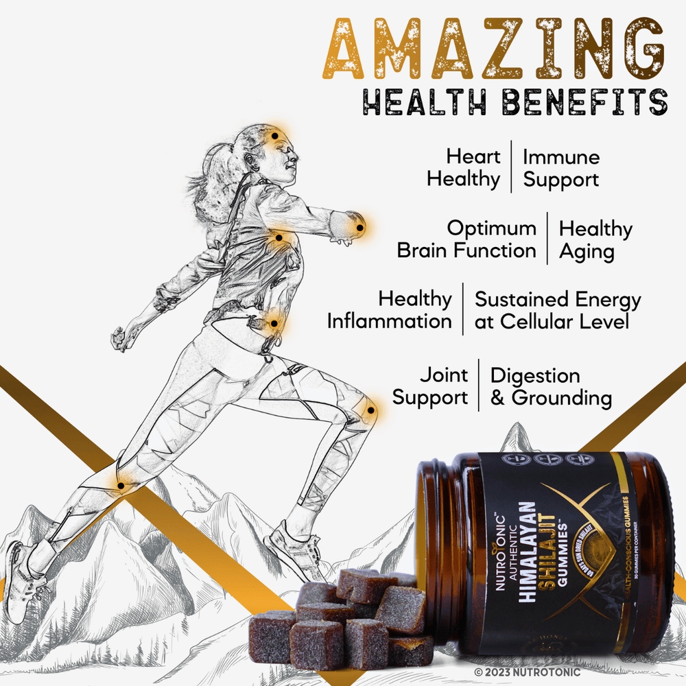 Authentic Himalayan Shilajit Gummies NutroTonic Pure Shilajit