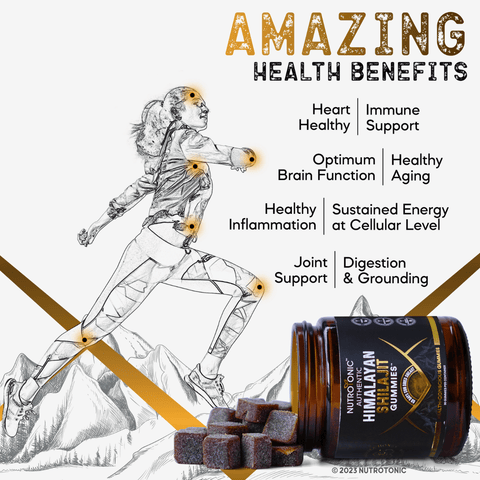 Health benefits of NutroTonic Himalayan Shilajit Gummies with Red Rare Shilajit Resin
