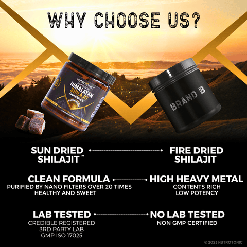 why choose NutroTonic shilajit gummies in the sea of counterfeit shilajit
