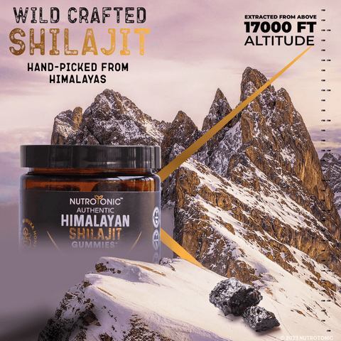 NutroTonic Himalayan Shilajit Strictly Harvested From Above 17000 Ft Elevation of the Himalayan Mountains 100% Wild Crafted and Ethically Sourced