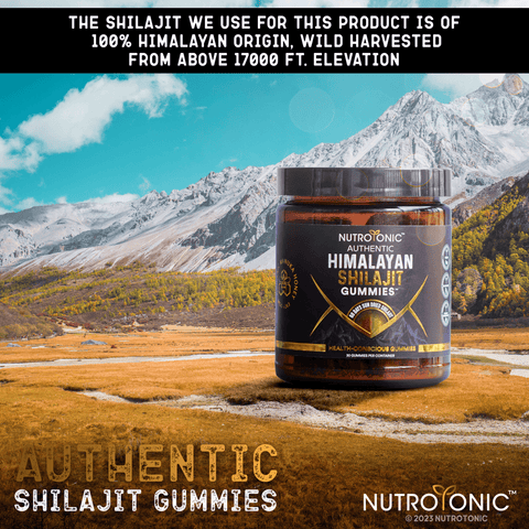 Premium Himalayan Shilajit Gummies