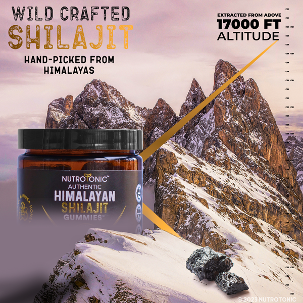 Authentic Himalayan Shilajit Gummies Sweetened with Organic Manuka Honey