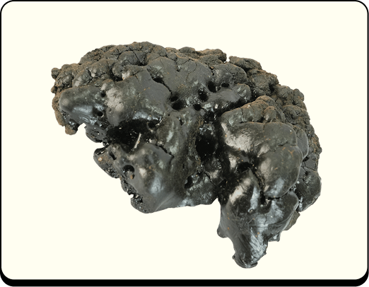 Authentic Himalayan Shilajit® Gummies