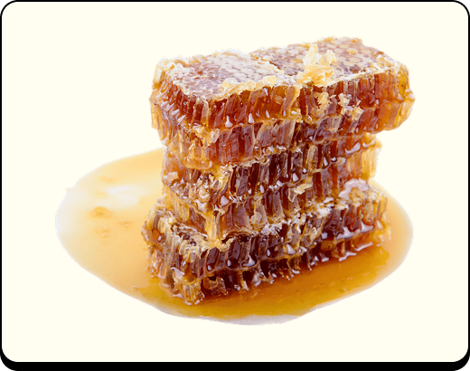 Authentic Himalayan Shilajit® Gummies