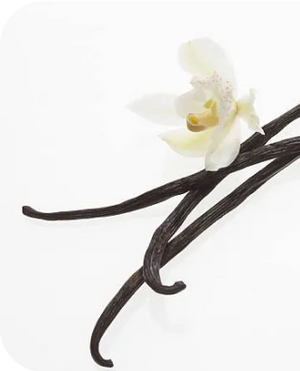 ingredient - Vanilla Bean Powder