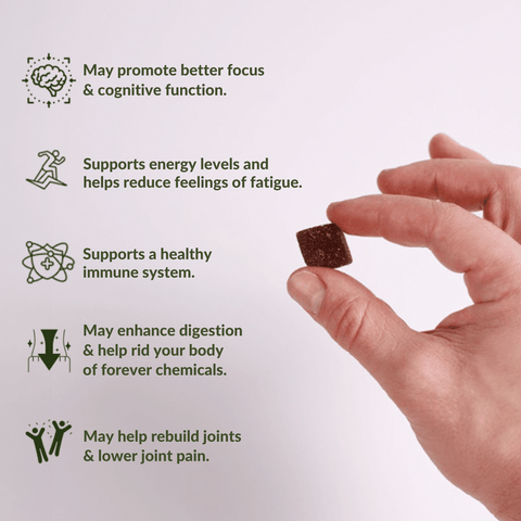Authentic Himalayan Shilajit® Gummies Sweetened with Organic Manuka Honey & Real Flavors