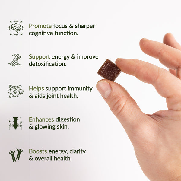 Authentic Himalayan Shilajit® Gummies Sweetened with Organic Manuka Honey