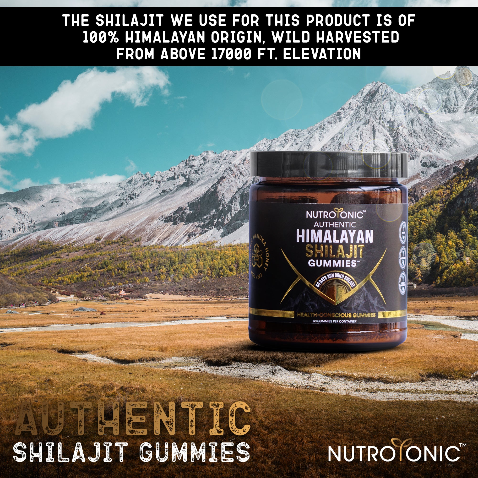 Authentic Himalayan Shilajit Gummies Sweetened With Organic Manuka Hon ...