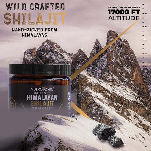 Authentic Himalayan Shilajit Gummies Sweetened with Organic Manuka Honey Flavored with Organic Blood Orange Oil & Organic Vanilla